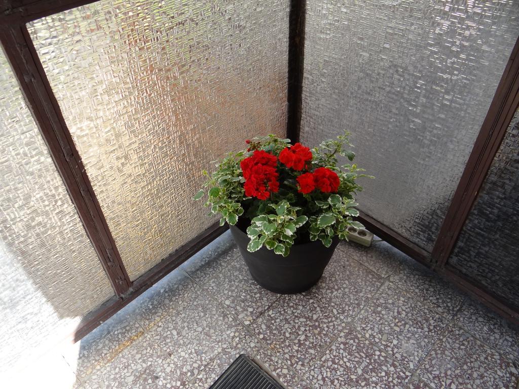 Stefanka Apartment Zakopane Exterior photo